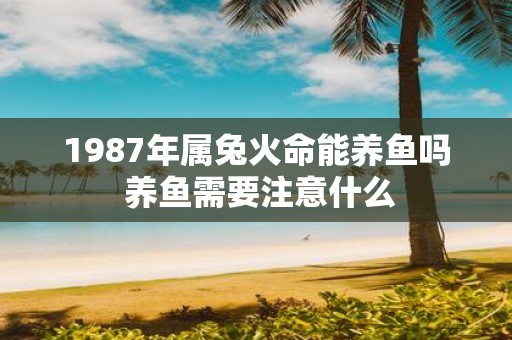 1987年属兔火命能养鱼吗 养鱼需要注意什么
