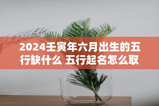 2025壬寅年六月出生的五行缺什么 五行起名怎么取