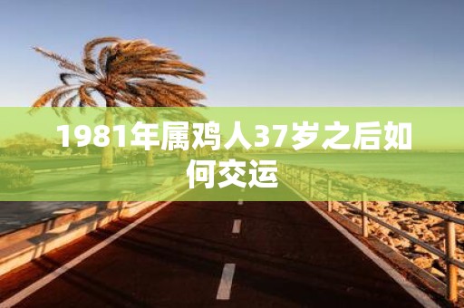 1981年属鸡人37岁之后如何交运