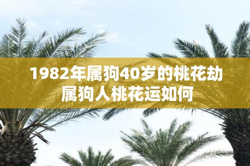 1982年属狗40岁的桃花劫 属狗人桃花运如何