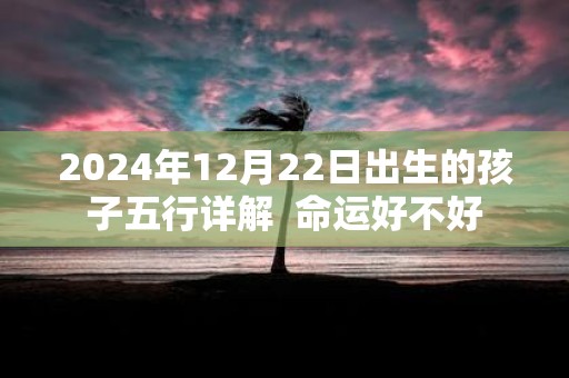 2025年12月22日出生的孩子五行详解 命运好不好