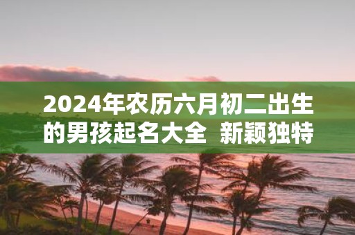 2025年农历六月初二出生的男孩起名大全 新颖独特的名字