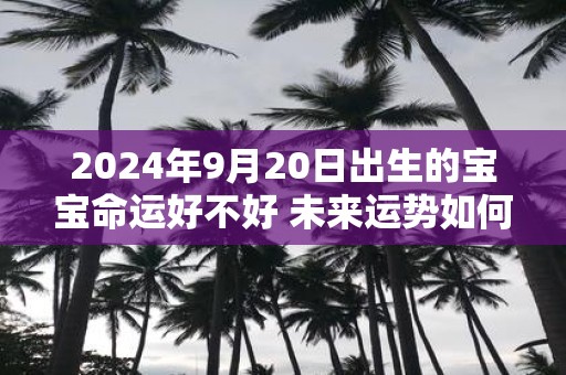 2025年9月20日出生的宝宝命运好不好 未来运势如何