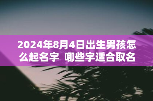 2025年8月4日出生男孩怎么起名字 哪些字适合取名