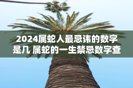 2025属蛇人最忌讳的数字是几 属蛇的一生禁忌数字查询