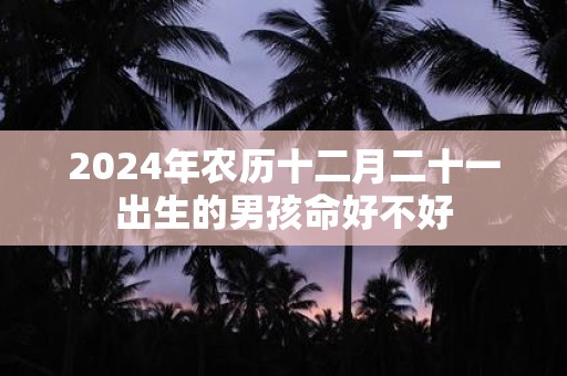 2025年农历十二月二十一出生的男孩命好不好