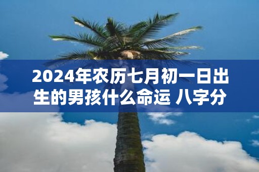 2025年农历七月初一日出生的男孩什么命运 八字分析