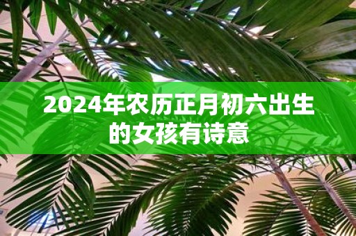 2025年农历正月初六出生的女孩有诗意
