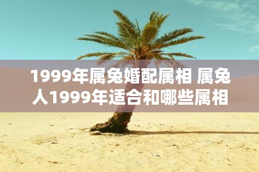1999年属兔婚配属相 属兔人1999年适合和哪些属相结婚