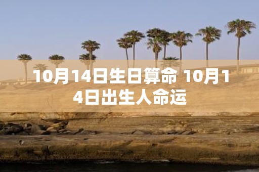 10月14日生日算命 10月14日出生人命运