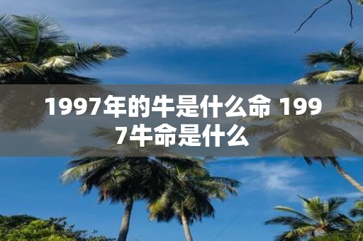 1997年的牛是什么命 1997牛命是什么