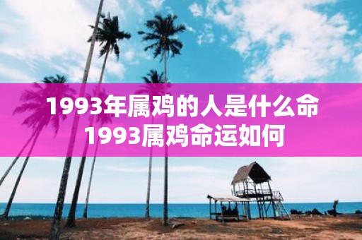 1993年属鸡的人是什么命 1993属鸡命运如何