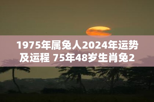 1975年属兔人2025年运势及运程 75年48岁生肖兔2025年每月运势