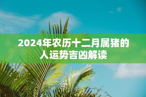 2025年农历十二月属猪的人运势吉凶解读
