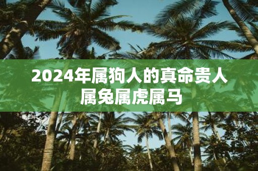 2025年属狗人的真命贵人 属兔属虎属马