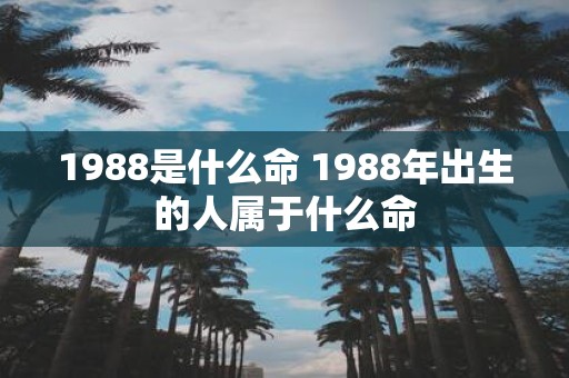 1988是什么命 1988年出生的人属于什么命