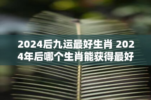 2025后九运最好生肖 2025年后哪个生肖能获得最好的九运