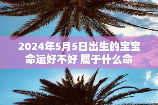 2025年5月5日出生的宝宝命运好不好 属于什么命