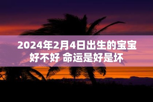 2025年2月4日出生的宝宝好不好 命运是好是坏