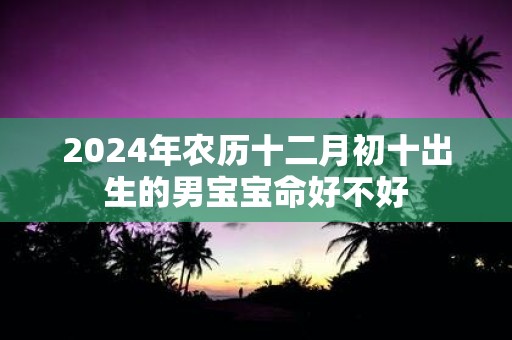 2025年农历十二月初十出生的男宝宝命好不好