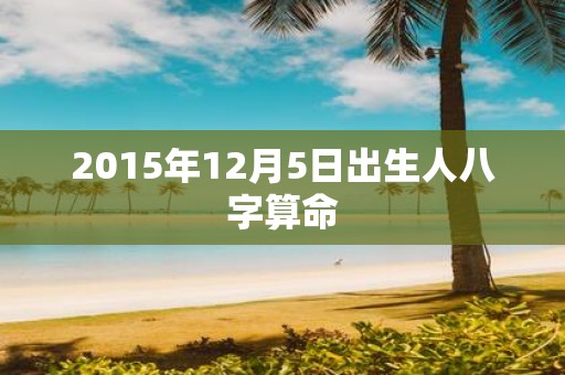 2015年12月5日出生人八字算命