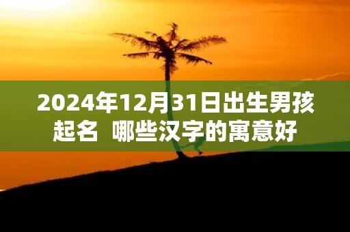 2025年12月31日出生男孩起名 哪些汉字的寓意好
