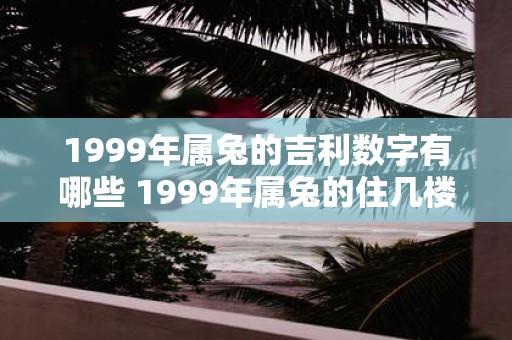 1999年属兔的吉利数字有哪些 1999年属兔的住几楼最合适