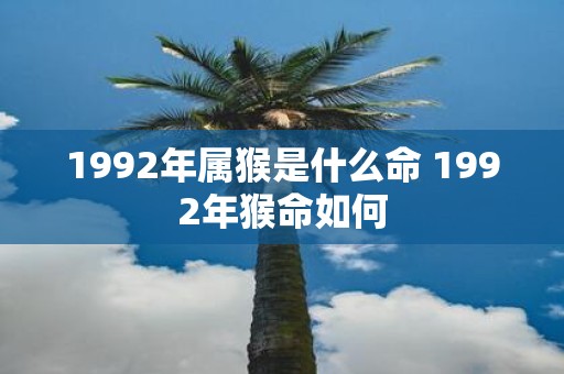 1992年属猴是什么命 1992年猴命如何