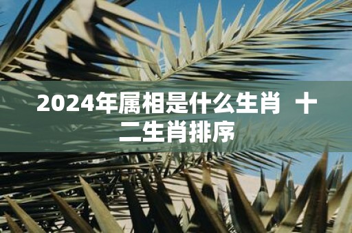 2025年属相是什么生肖 十二生肖排序