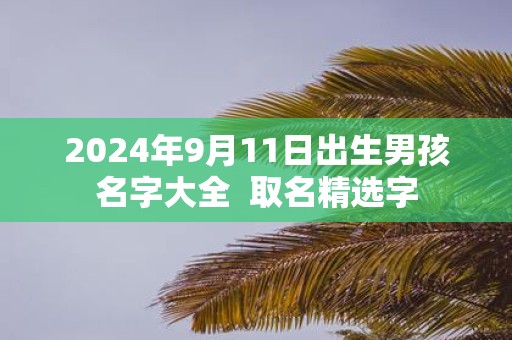 2025年9月11日出生男孩名字大全 取名精选字