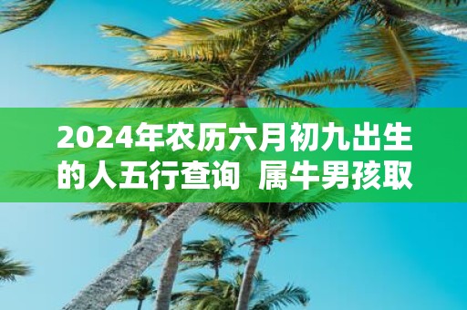 2025年农历六月初九出生的人五行查询 属牛男孩取名