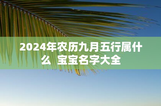 2025年农历九月五行属什么 宝宝名字大全