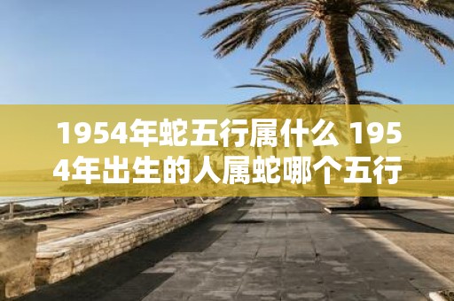 1954年蛇五行属什么 1954年出生的人属蛇哪个五行
