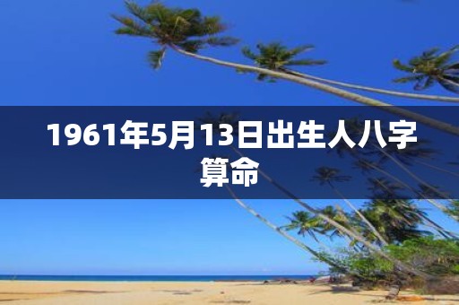 1961年5月13日出生人八字算命