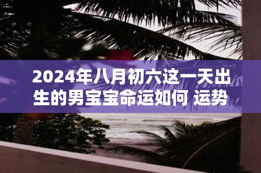 2025年八月初六这一天出生的男宝宝命运如何 运势咋样