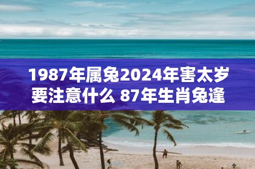 1987年属兔2025年害太岁要注意什么 87年生肖兔逢蛇年运气如何