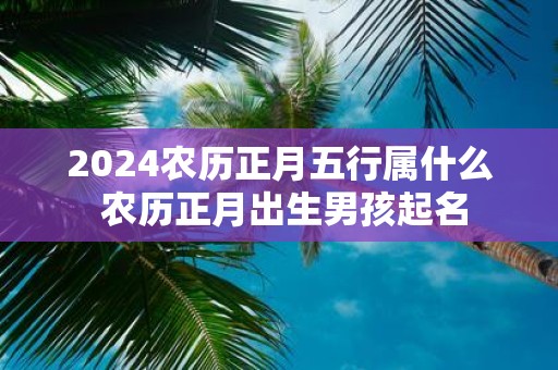 2025农历正月五行属什么 农历正月出生男孩起名