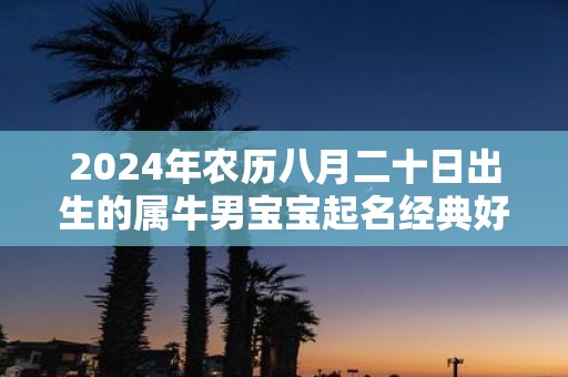 2025年农历八月二十日出生的属牛男宝宝起名经典好名字