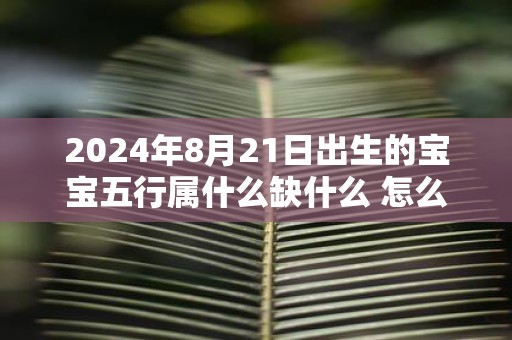 2025年8月21日出生的宝宝五行属什么缺什么 怎么补
