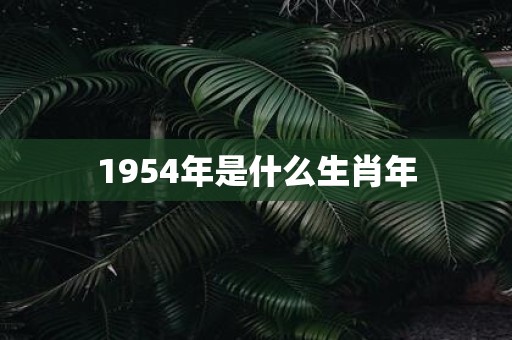 1954年是什么生肖年