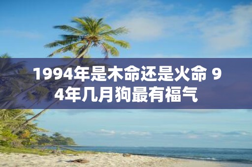 1994年是木命还是火命 94年几月狗最有福气