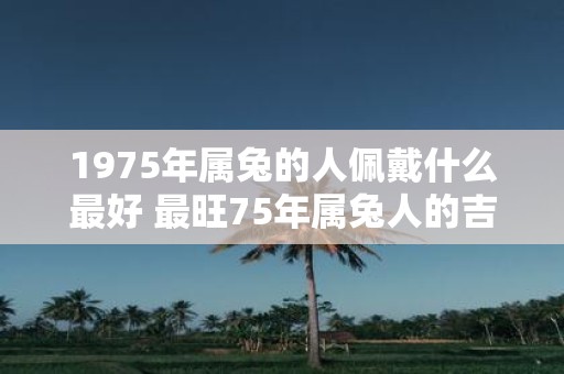 1975年属兔的人佩戴什么最好 最旺75年属兔人的吉祥物