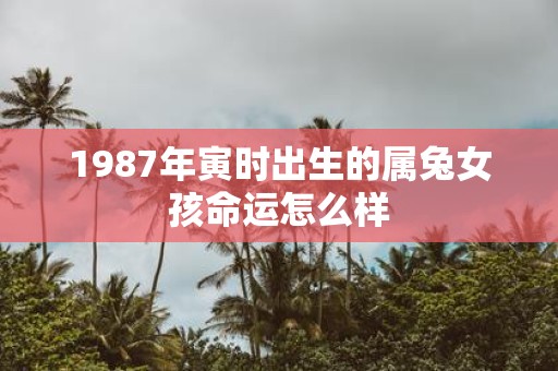 1987年寅时出生的属兔女孩命运怎么样
