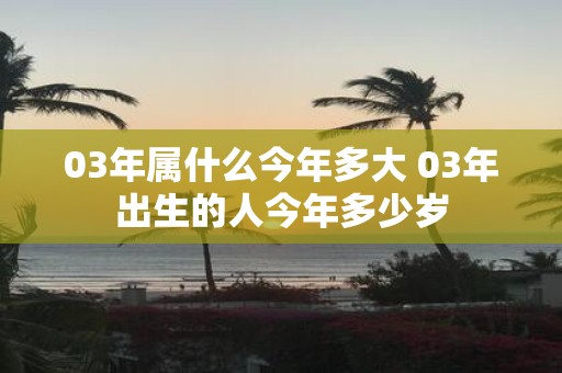 03年属什么今年多大 03年出生的人今年多少岁