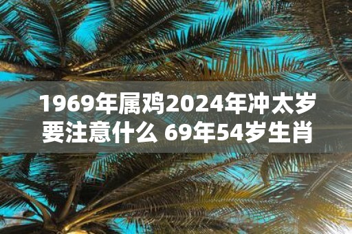 1969年属鸡2025年冲太岁要注意什么 69年54岁生肖鸡逢蛇年运势如何