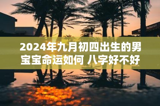 2025年九月初四出生的男宝宝命运如何 八字好不好