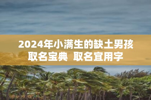 2025年小满生的缺土男孩取名宝典 取名宜用字