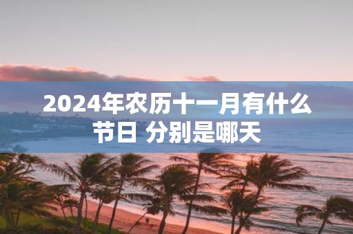 2025年农历十一月有什么节日 分别是哪天