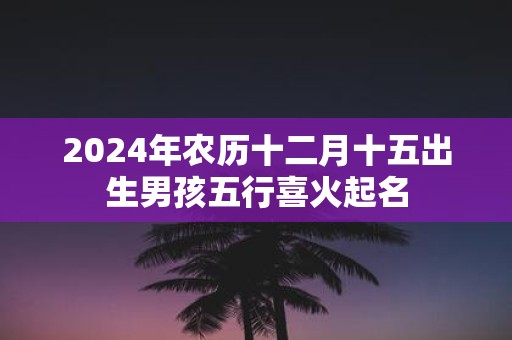 2025年农历十二月十五出生男孩五行喜火起名