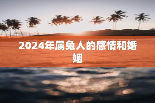2025年属兔人的感情和婚姻